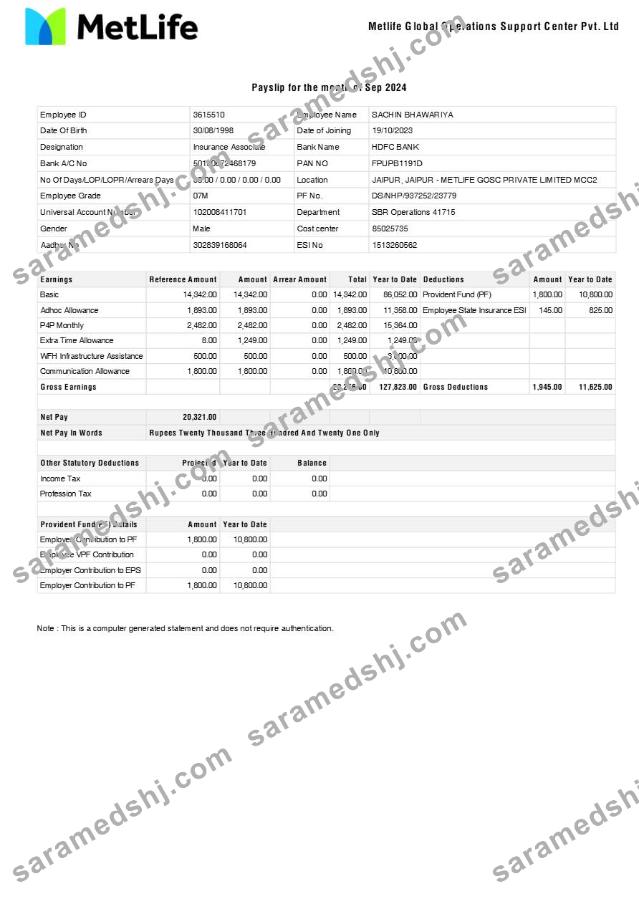 Metlife Global Operations Support Center payslip template in Word and PDF formats.pdf, 1